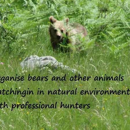 Gostisce Pensión 3*