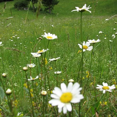 Gasthof Gostisce Masun