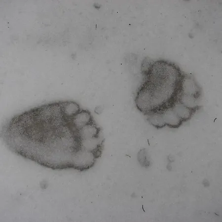 Gostisce Gostinjska kuća