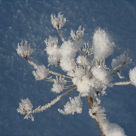 Gostisce Pensión 3*