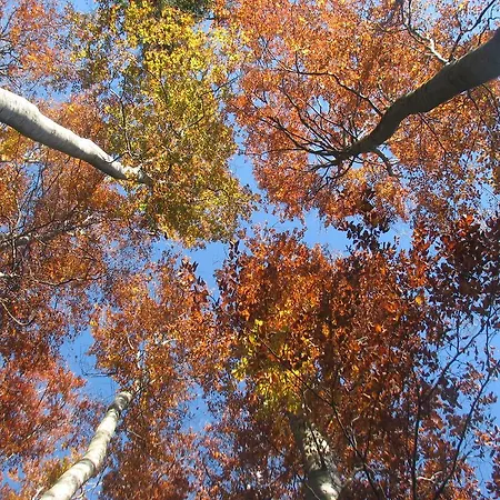 Gostinjska kuća Gostisce 3*