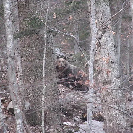 Gostinjska kuća Gostisce Masun