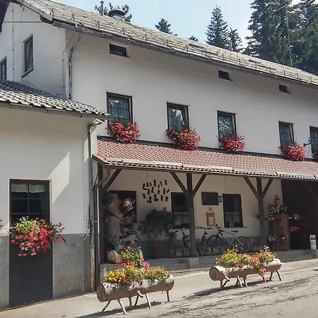 Guest house Gostisce 3*