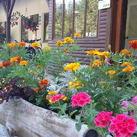 Guest house Gostisce 3*