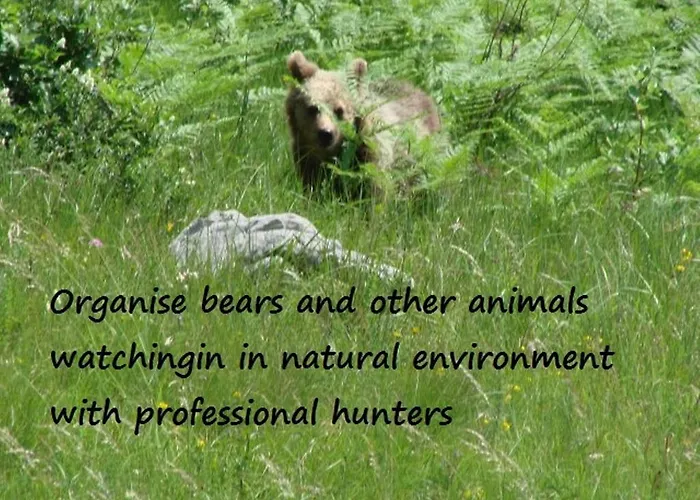 Gostisce Πανσιόν 3*