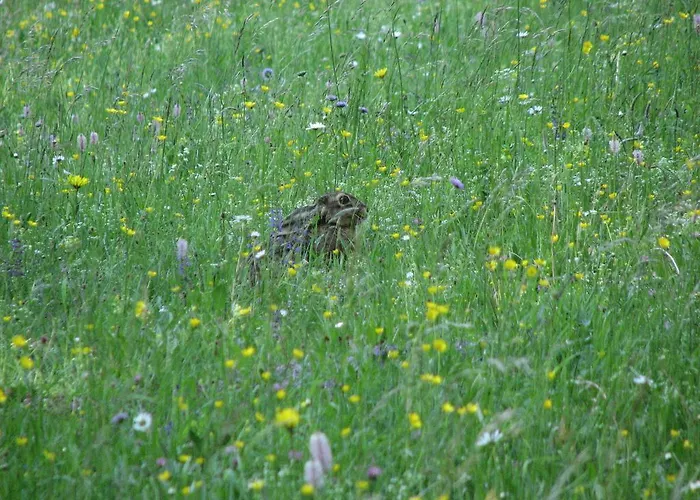 Gostisce Πανσιόν 3*