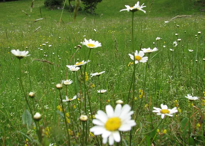 Πανσιόν Gostisce Masun