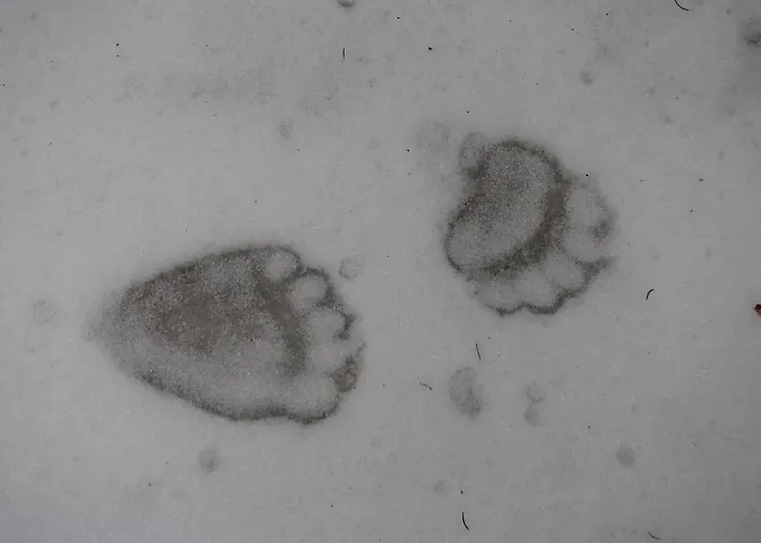 Gostisce Πανσιόν