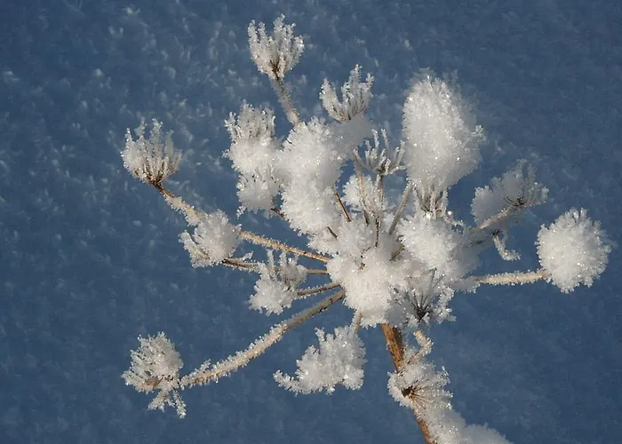 Gostisce Πανσιόν 3*