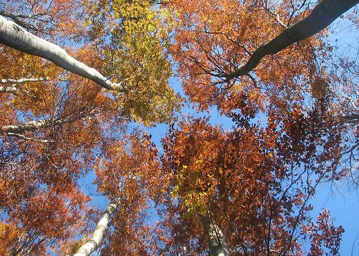 Πανσιόν Gostisce 3*