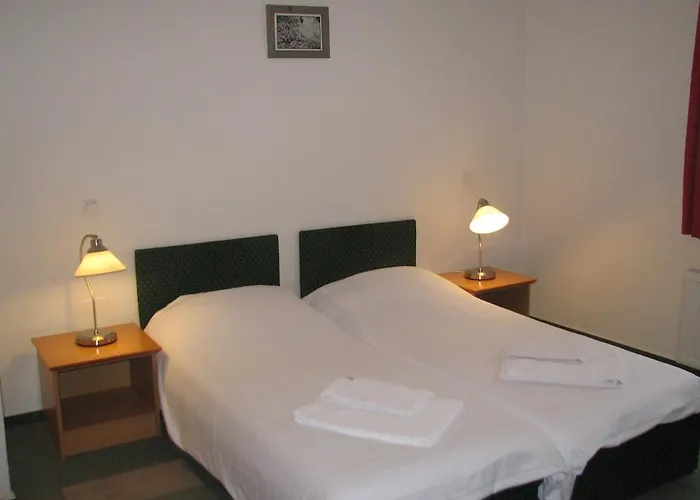 Πανσιόν Gostisce 3*