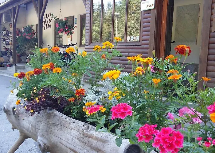 Πανσιόν Gostisce 3*